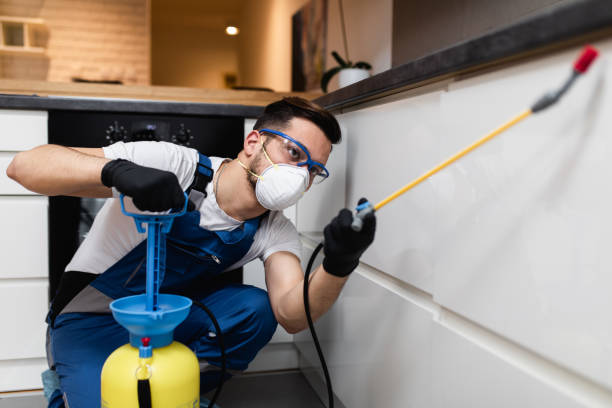 Best Residential Pest Control  in Frankfort, MI