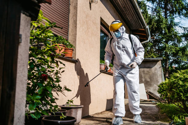 Best Pest Inspection Near Me  in Frankfort, MI
