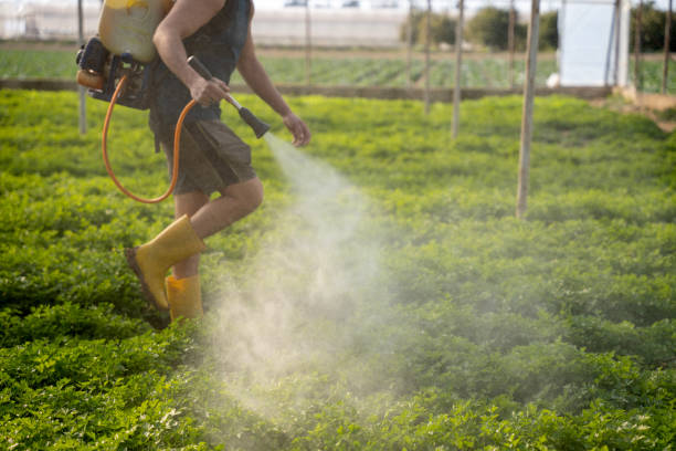 Best Exterminator Services  in Frankfort, MI