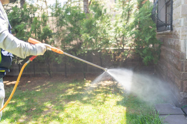 Best Affordable Pest Control Services  in Frankfort, MI
